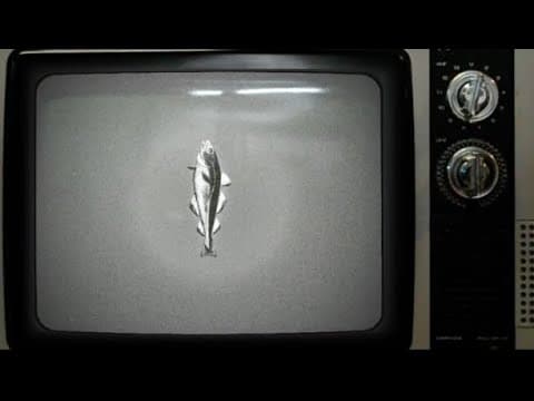 umrui & dj bullins - Sounds of Codfish