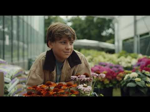 DIRECTOR'S CUT 003