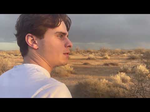 Human Nature in Eleven Parts