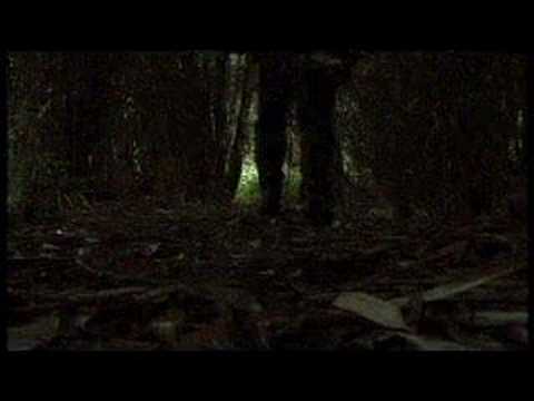 Animal Soup Trailer