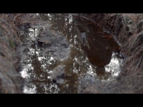 VdR2020 | Carte Blanche | Francisco Bermejo | The Other One