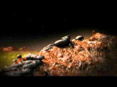 Planet Z (short film, 2011) - Trailer