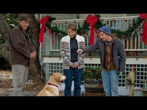 A Dog Named Christmas