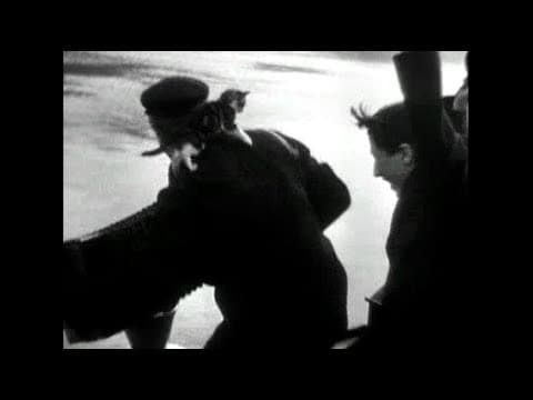 'C'Atalante' cat montage