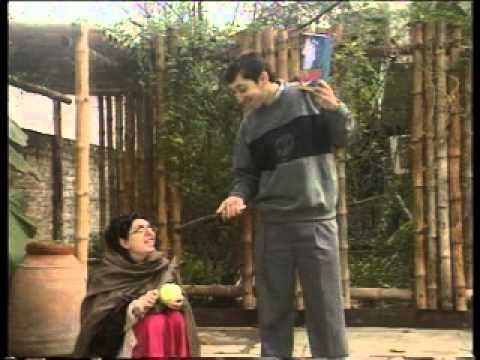 Anteena Washing Powder - Taamak Toyian