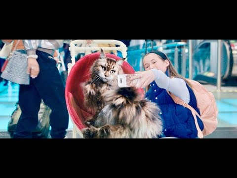 Trailer [Subtitled]