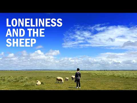 Loneliness and the Sheep | Short Film