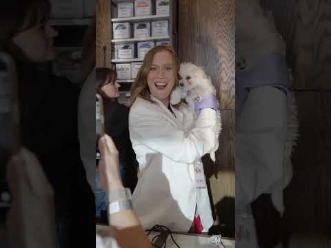 Scenes from our video store and screening takeover at Vidiots, ft. guest clerk Hannah Einbinder.