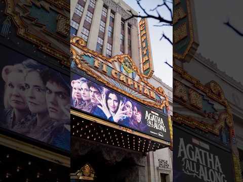 Our coven gathered in Hollywood last night to celebrate the Agatha All Along premiere