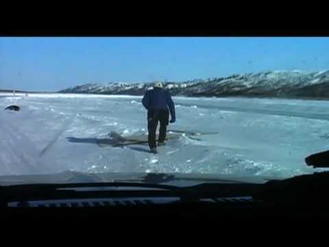 Being Caribou (Bullfrog Films clip)