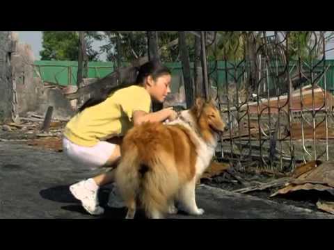 ตัวอย่าง มะหมา 4 ขาครับ Mid Road Gang trailer