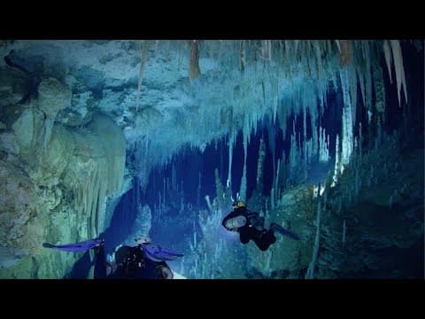Ancient Caves - The Fangorn Forest