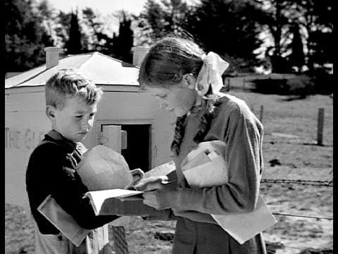 School In The Mail-Box