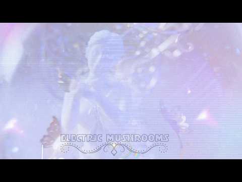 Electric Mushrooms | Experimental Short Film