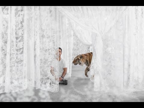 MAYA - trailer