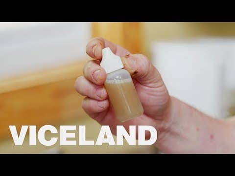 Preparing for an Ayahuasca Ceremony