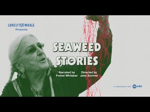 Seaweed Stories