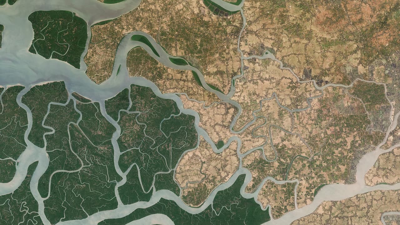The Year from Space
