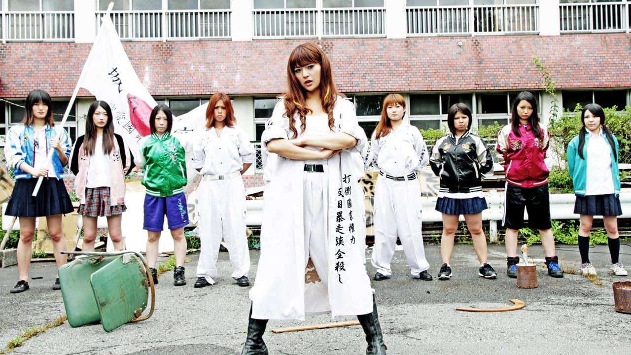 Yankee High School Girl Collection