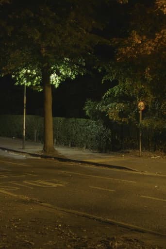 Canon: Urban Deer