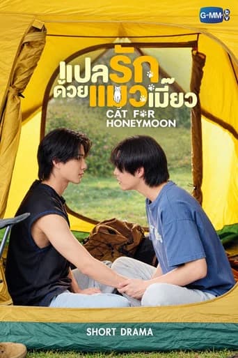 Cat for Honeymoon