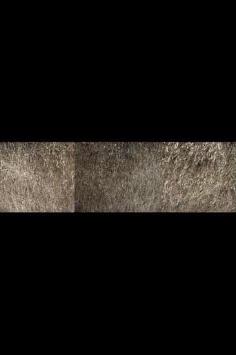 Nebraska Grasses Veils