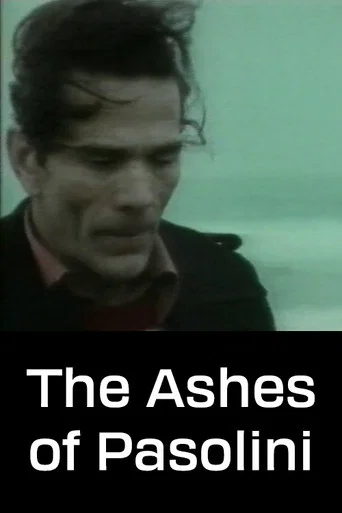 The Ashes of Pasolini